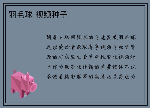 羽毛球 视频种子
